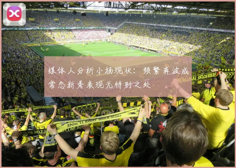 媒体人分析小杨现状：频繁奔波成常态新秀表现无特别之处