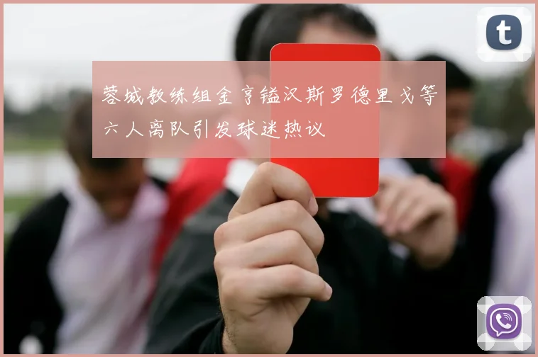 蓉城教练组金亨镒汉斯罗德里戈等六人离队引发球迷热议