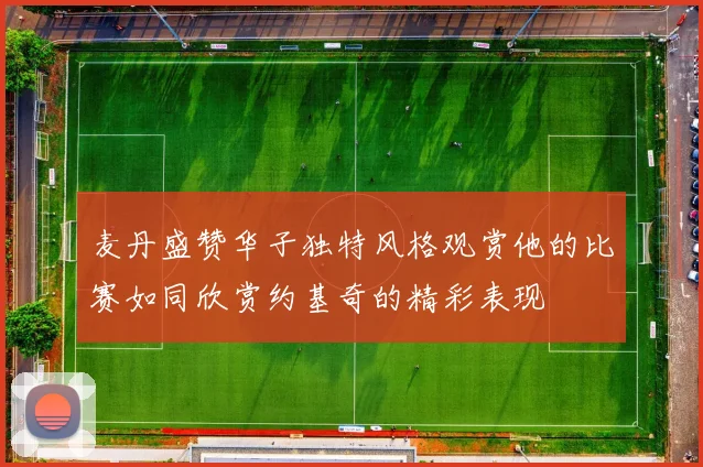 麦丹盛赞华子独特风格观赏他的比赛如同欣赏约基奇的精彩表现